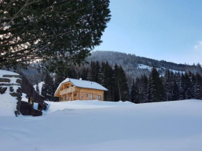 Alluring Chalet with Sauna Ski Boot Heaters Camping Cot